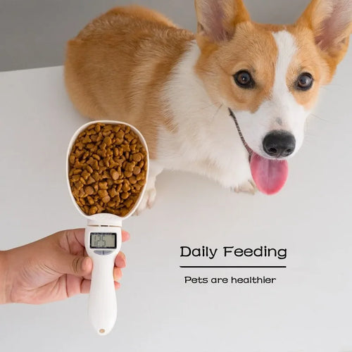 Digital Measuring Spoon Scale — Precise to 1g